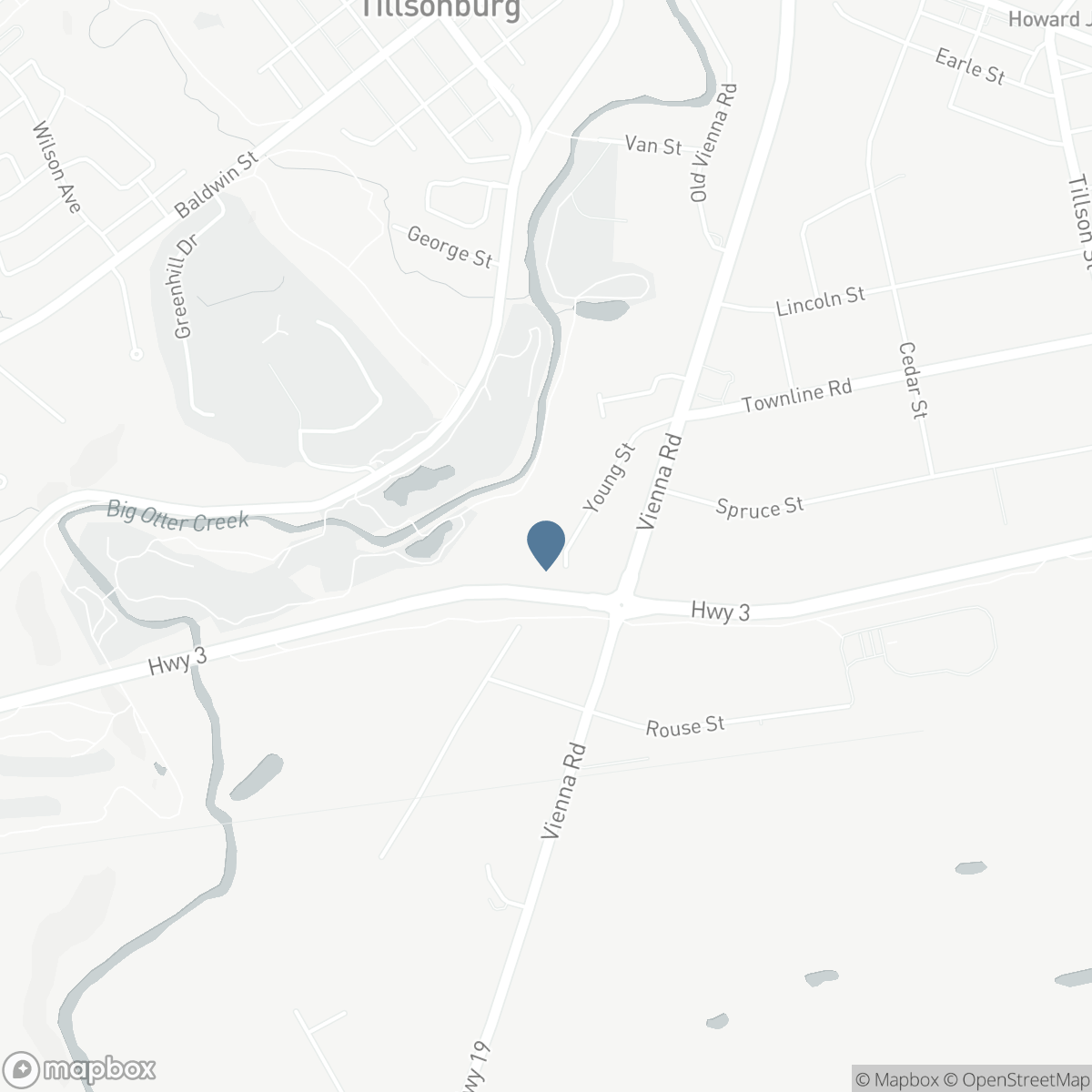 55 YOUNG Street, Tillsonburg, Ontario N4G 3H6